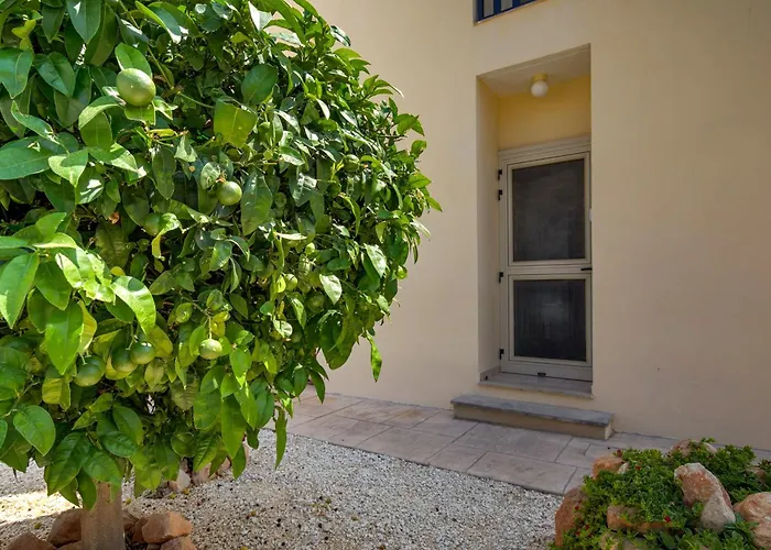 山林小屋 Seaview In Peyia | Private Pool & Jacuzzi By Vichy Holidays Paphos